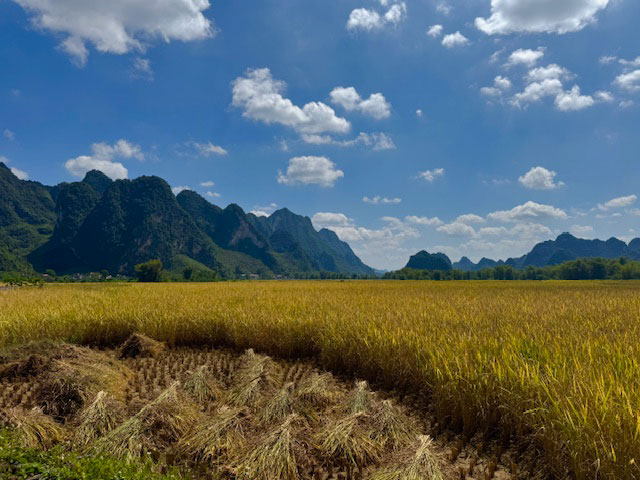 PIA Homestay in Cao Bang